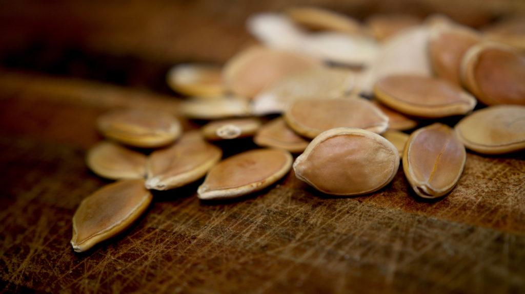 Andrews Seed Company
