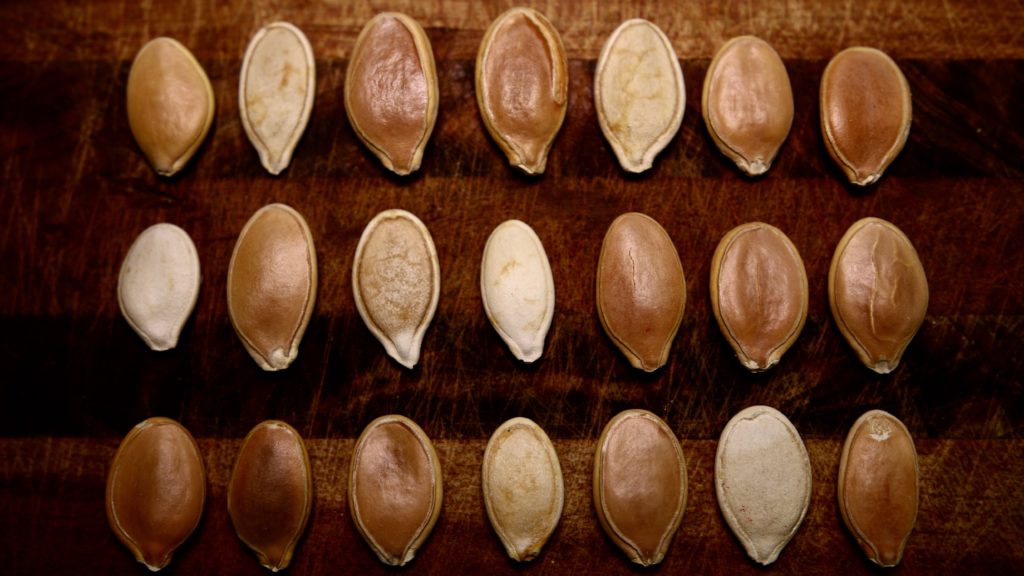 Andrews Seed Company
