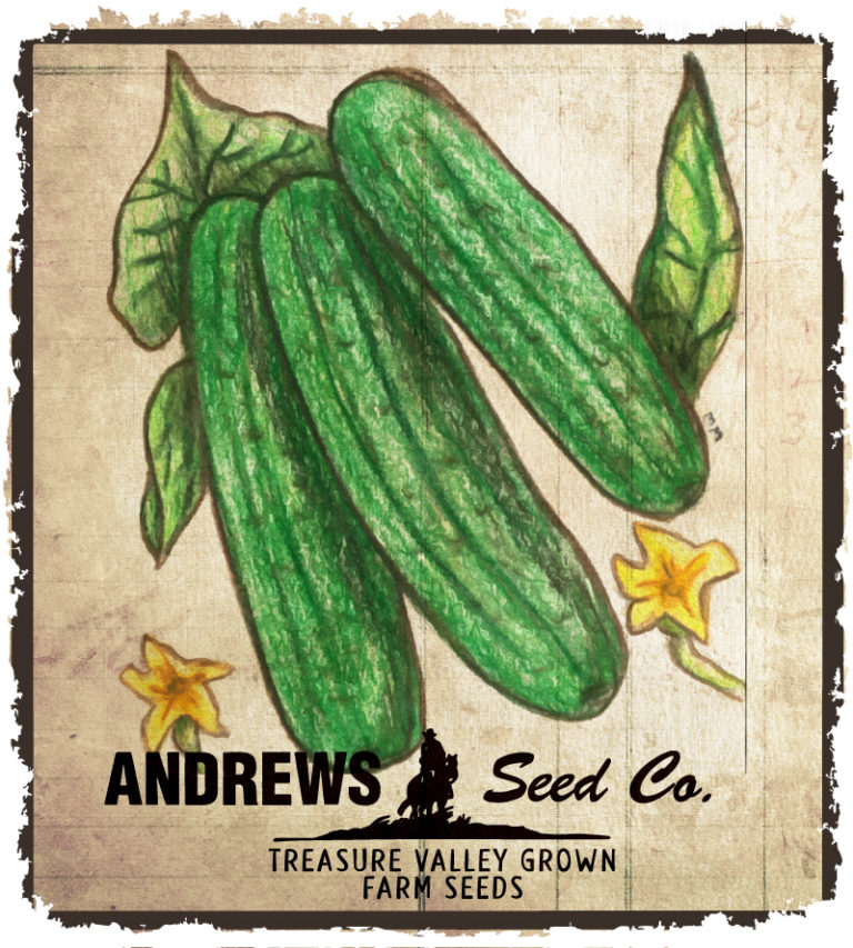 Early Spring Burpless Cucumber Andrews Seed Company