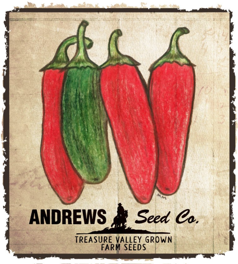 Serrano Tampiqueno Pepper – Andrews Seed Company How Many Serrano Peppers In A Pound