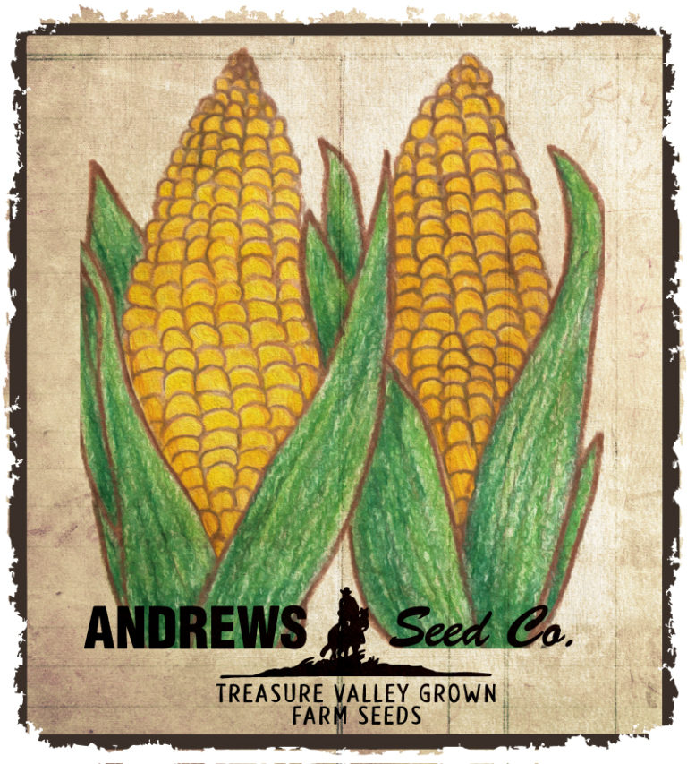 Super Sweet Jubilee Andrews Seed Company