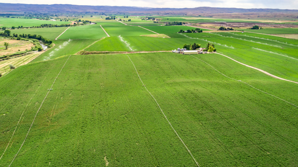Andrews Seed Company