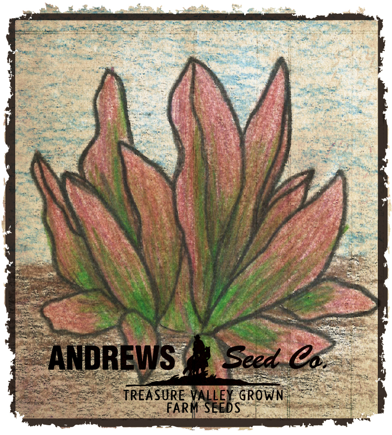 Andrews Seed Company