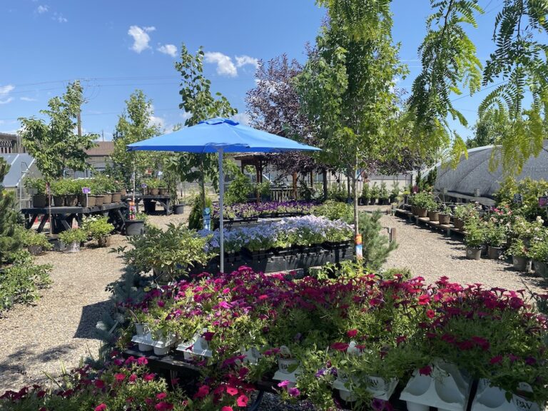 Garden Center Andrews Seed Company