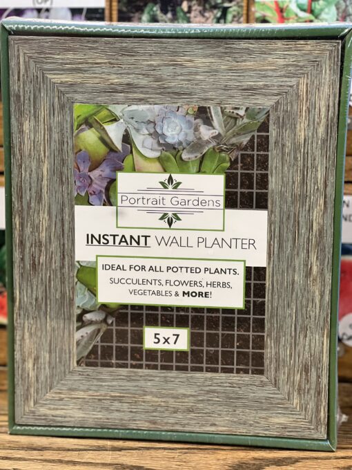 Large Instant Wall Planter