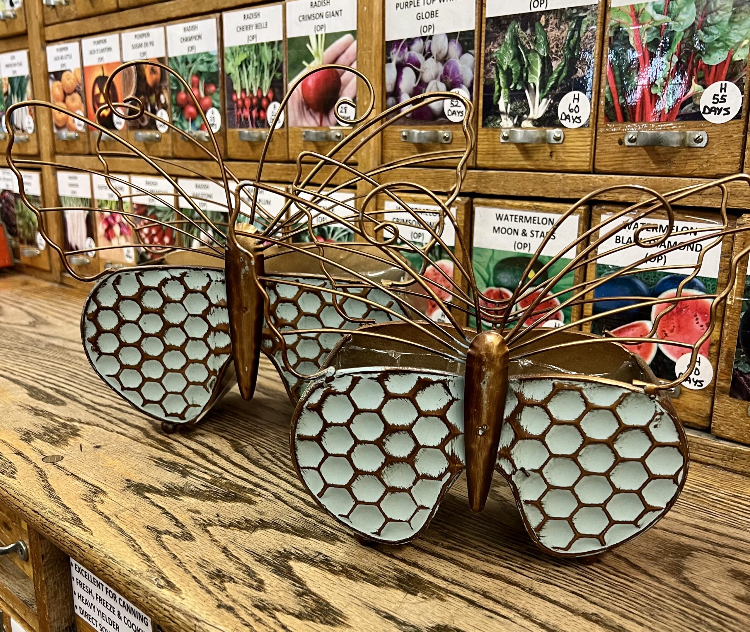 Butterfly Planter Andrews Seed Company