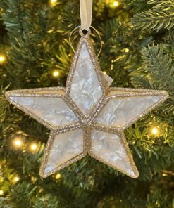 Mother of Pearl Star Ornament 